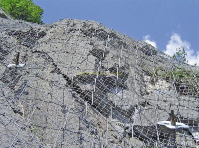 絞索網(wǎng)、蜘蛛網(wǎng)